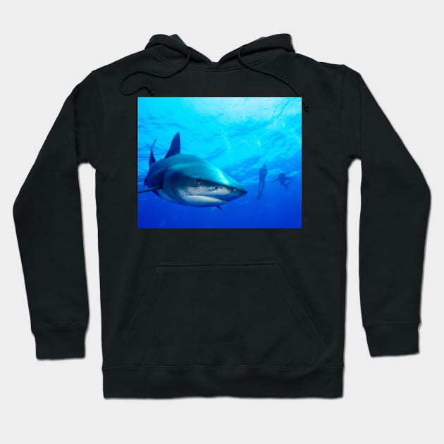 Close Shark with Scuba Diver Hoodie by jbbarnes